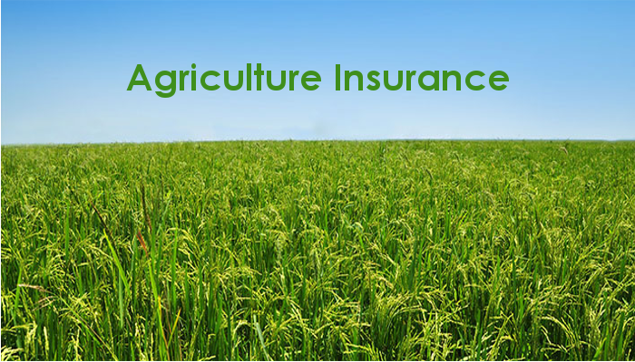Agriculture Insurance image